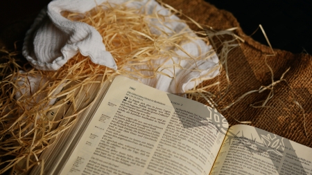 Pismo Świete, aut. congerdesign, Pixabay