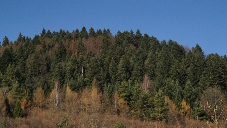 Hoszów, fot. Ilona Dusza Rzeszowska, Podkarpacka Komisja Filmowa