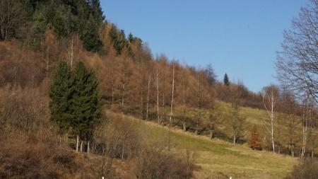 Hoszów, fot. Ilona Dusza Rzeszowska, Podkarpacka Komisja Filmowa