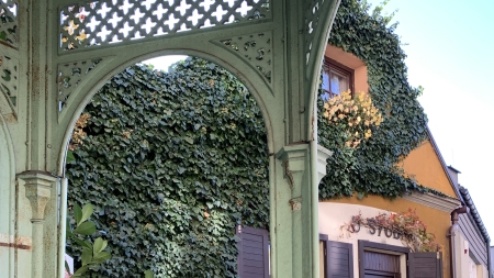 fot. Paulina Daczkowska, ARR S.A.