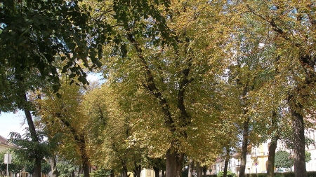 Sabinov, autor Jozef Kotulič, sk.wikipedia.org, Licencia (CC BY-SA 3.0)