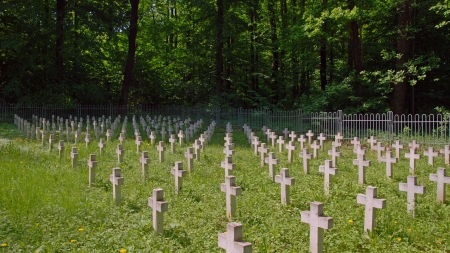 Mymoń, cmentarz Wielkiej Wojny, fot. Henryk Bielamowicz, CC BY-SA 3 0, Wikimedia Commons