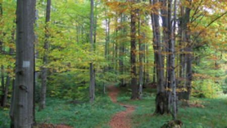 Osadne | www.artileria.sk