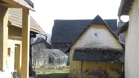 Pásla kone na betóne | Obecný úrad Šarišské Michaľany