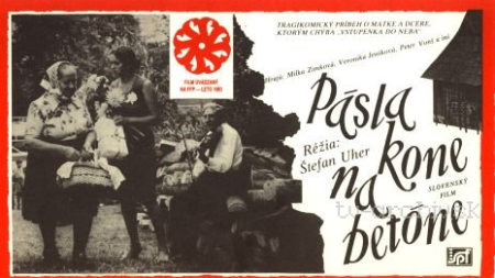 Pásla kone na betóne | Obecný úrad Šarišské Michaľany