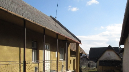 Pásla kone na betóne | Obecný úrad Šarišské Michaľany