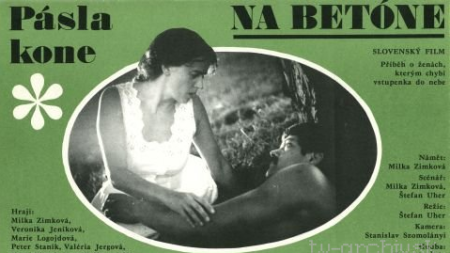 Pásla kone na betóne | Obecný úrad Šarišské Michaľany