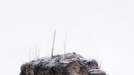 rock, mountain, forest, mt, nature, reef, outdoors, top, travel, mountains