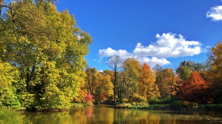 Jezioro w Pszczynie fot. Dariusz Staniszewski | Pixabay