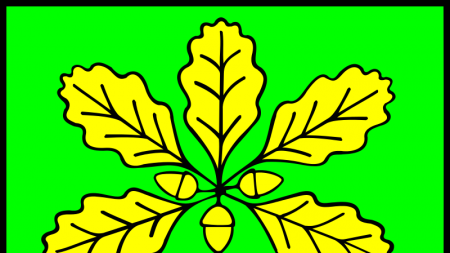 Herb gminy Stary Dzików