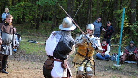 fencing, Petra Solajova, Pixabay License