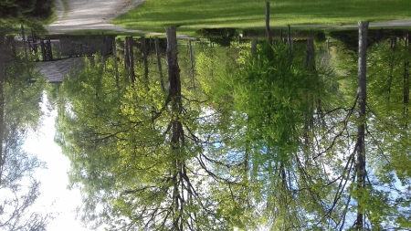 Tatranská Lomnica, park, autor: Dana Štulrajterová, Zdroj: Združenie cestovného ruchu Vysoké Tatry