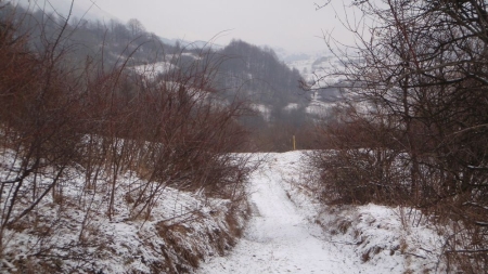 Nižní Berešovci, Terchová, PC, CC BY-NC-SA 3.0