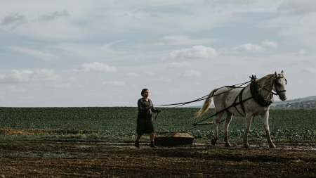 Ułaskawienie - fotos, fot. Łukasz Bąk, Podkarpackie Film Commission