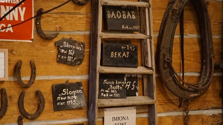 Kino Końkret, listopad 2021, fot. Ilona Dusza Rzeszowska, Podkarpacka Komisja Filmowa