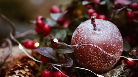 Ozdoby świąteczne, fot.Mariya, Pixabay